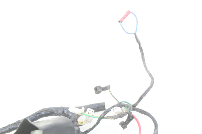 photo de WIRING HARNESS PEUGEOT TWEET 4T 50 (2010 - 2014) - Component detail