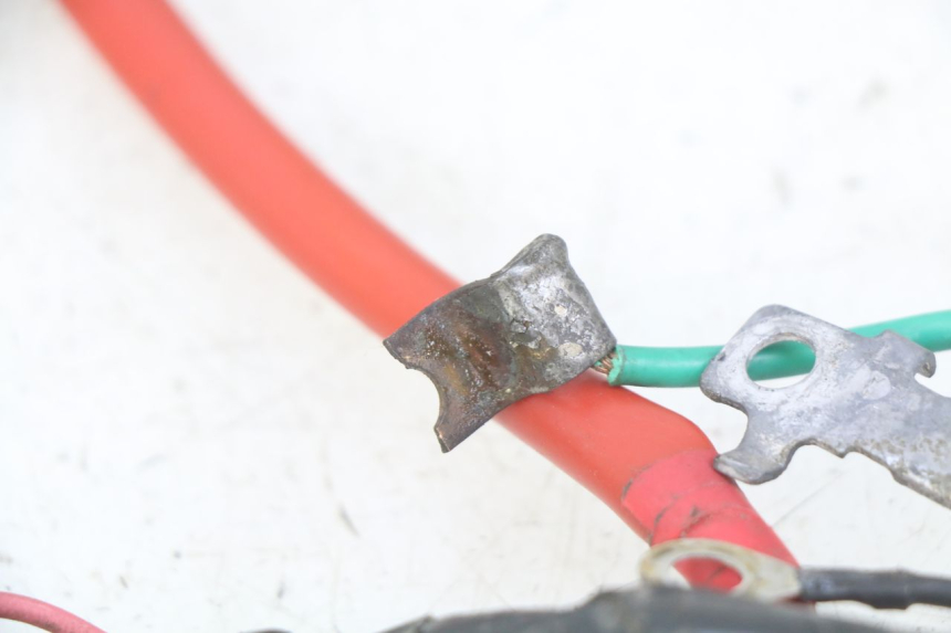 photo de WIRING HARNESS PEUGEOT TWEET 4T 50 (2010 - 2014) - Alternative perspective