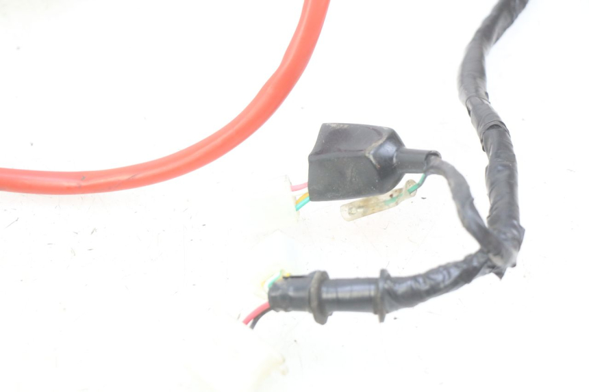 photo de WIRING HARNESS PEUGEOT TWEET 4T 50 (2010 - 2014) - Fixing points details