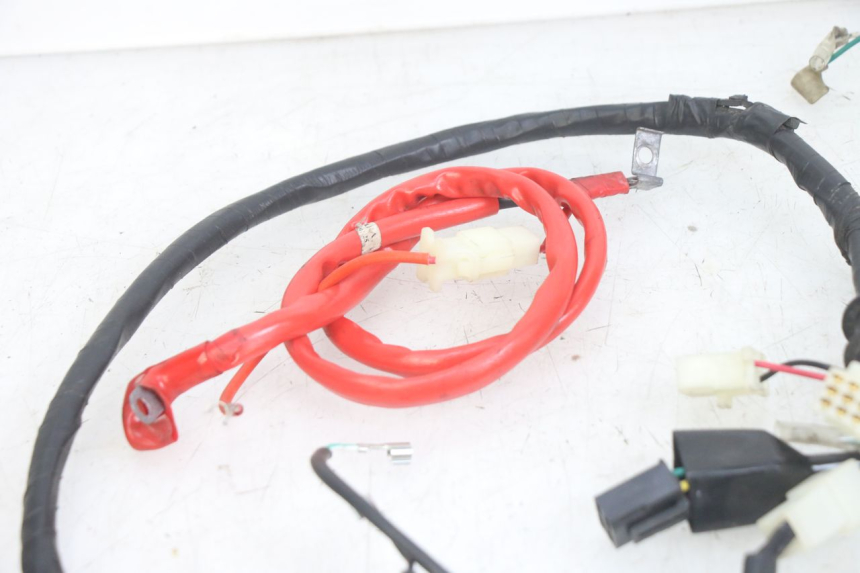 photo de WIRING HARNESS PEUGEOT TWEET 4T 50 (2014 - 2019) - Technical close-up