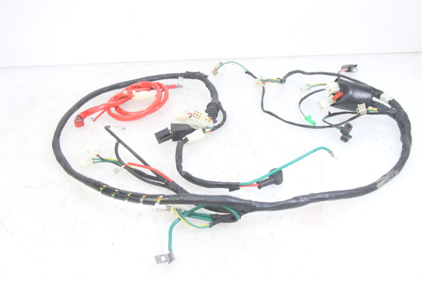 photo de WIRING HARNESS PEUGEOT TWEET 4T 50 (2014 - 2019) - Fixing points details