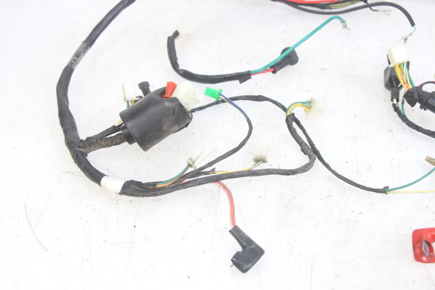 photo de WIRING HARNESS PEUGEOT TWEET 4T 50 (2014 - 2019) - Checked used part