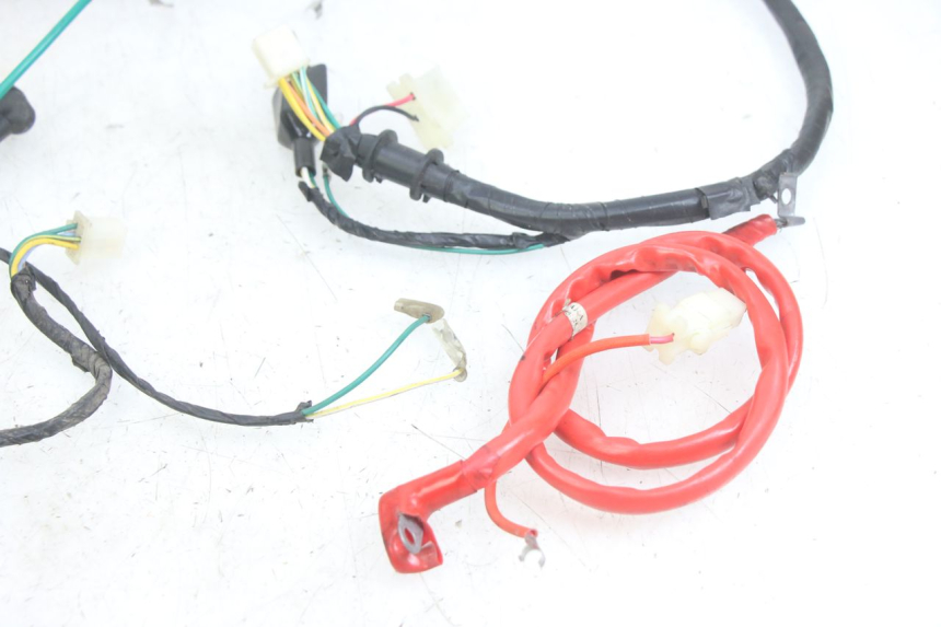 photo de WIRING HARNESS PEUGEOT TWEET 4T 50 (2014 - 2019) - Markings and original references