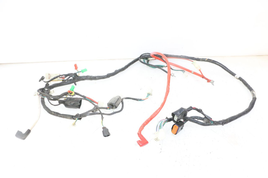 photo de WIRE HARNESS PEUGEOT TWEET 4T 50 (2018 - 2022) - Main view