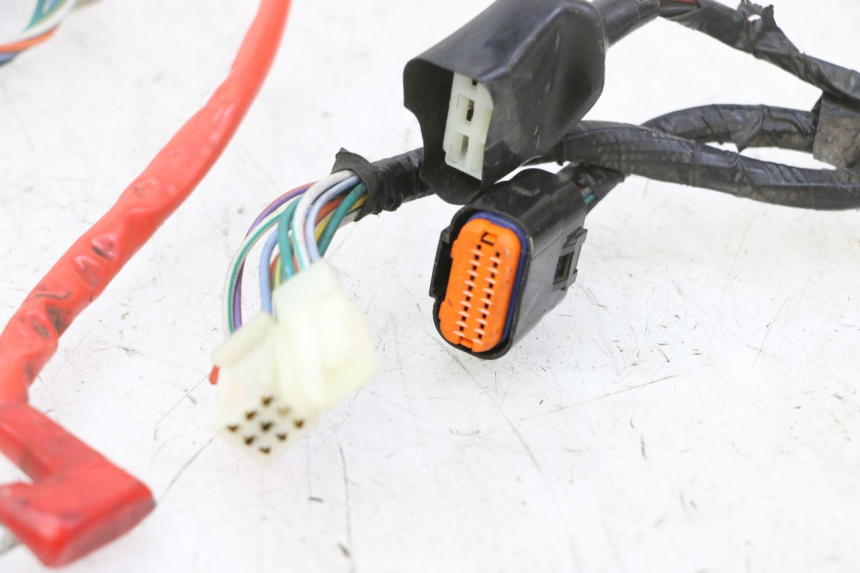 photo de WIRE HARNESS PEUGEOT TWEET 4T 50 (2018 - 2022) - Distinctive features