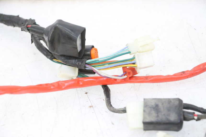 photo de WIRE HARNESS PEUGEOT TWEET 4T 50 (2018 - 2022) - Alternative perspective