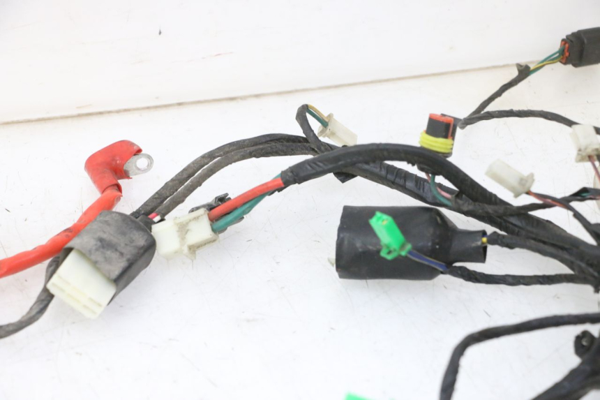 photo de WIRE HARNESS PEUGEOT TWEET 4T 50 (2018 - 2022) - Product overview