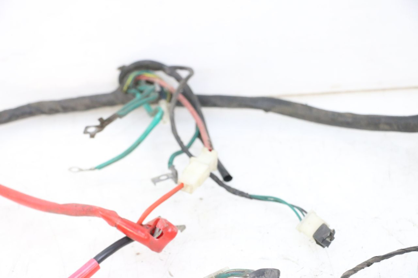 photo de WIRE HARNESS PEUGEOT TWEET PRO CARGO 50 (2018 - 2022) - Product overview