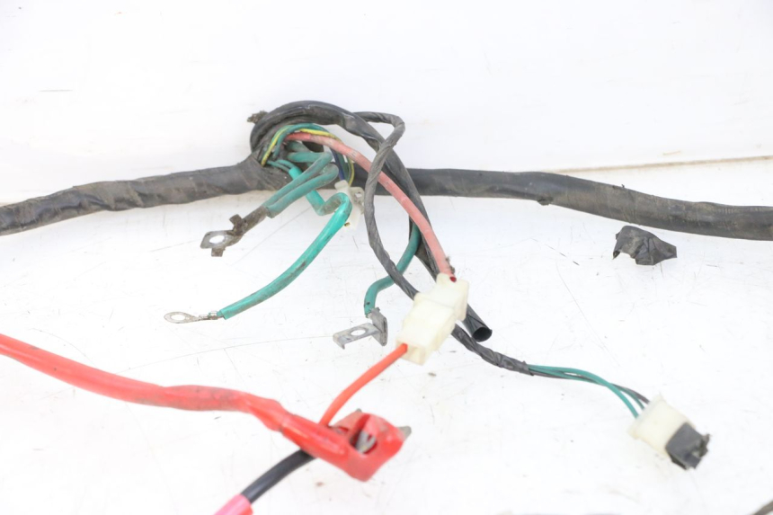 photo de WIRE HARNESS PEUGEOT TWEET PRO CARGO 50 (2018 - 2022) - Fixing points details