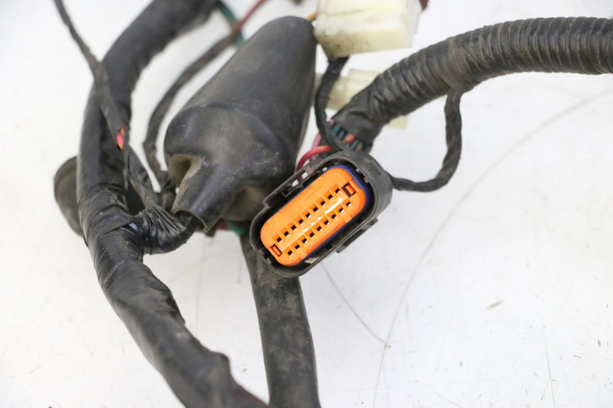 photo de WIRE HARNESS PEUGEOT TWEET PRO CARGO 50 (2018 - 2022) - Zoom on usage condition