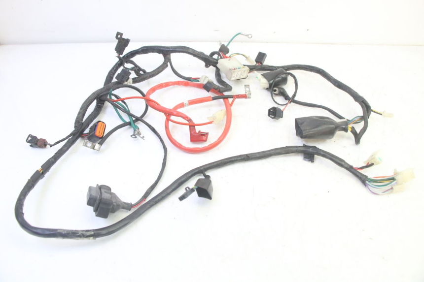 photo de WIRE HARNESS PEUGEOT TWEET PRO EFI 4T 50 (2021 - 2022) - Main view
