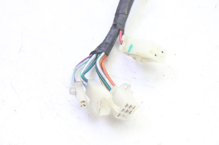 photo de WIRE HARNESS PEUGEOT TWEET PRO EFI 4T 50 (2021 - 2022) - Zoom on usage condition