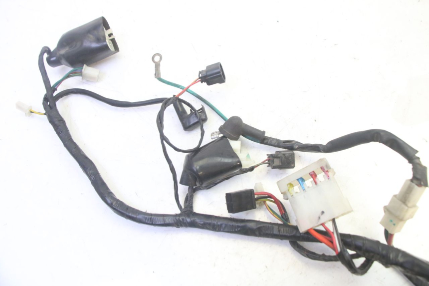 photo de WIRE HARNESS PEUGEOT TWEET PRO EFI 4T 50 (2021 - 2022) - Fixing points details