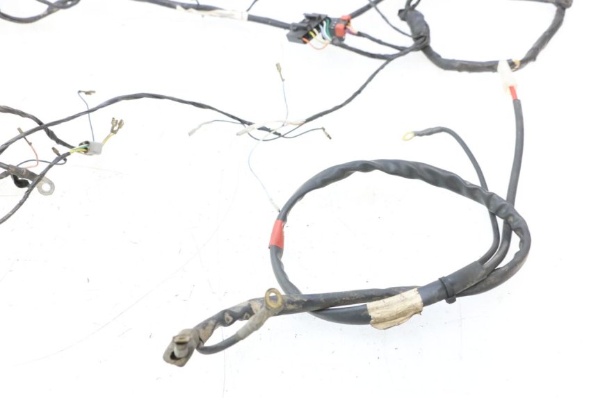 photo de WIRE HARNESS PIAGGIO TYPHOON 50 (2000 - 2009) - Distinctive features