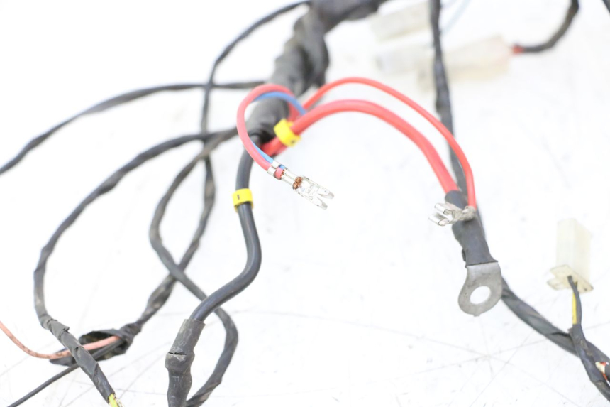 photo de WIRE HARNESS PIAGGIO TYPHOON 50 (2000 - 2009) - Alternative perspective