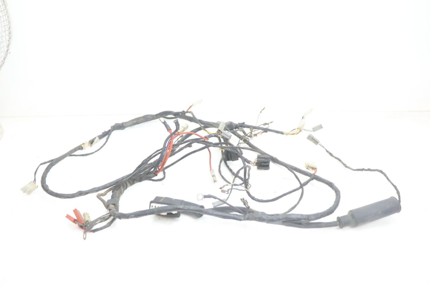 photo de WIRE HARNESS PIAGGIO TYPHOON 50 (2000 - 2009) - Main view