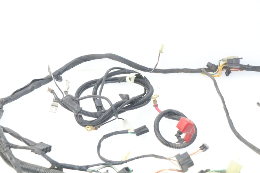 photo de WIRE HARNESS SUZUKI UC EPICURO 125 (1999 - 2003) - Alternative perspective