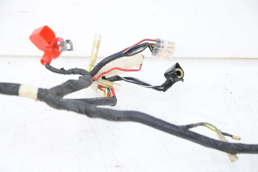 photo de WIRING HARNESS PEUGEOT V-CLIC VCLIC 50 (2007 - 2013) - Zoom on usage condition