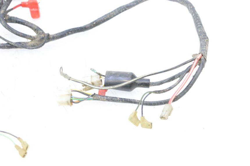 photo de WIRING HARNESS PEUGEOT V-CLIC VCLIC 50 (2007 - 2013) - Markings and original references