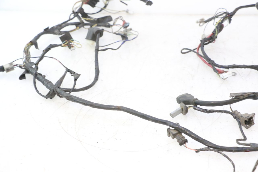 photo de WIRING HARNESS PIAGGIO VESPA LX 2T 50 (2005 - 2013) - Fixing points details