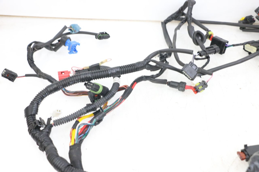 photo de WIRE HARNESS PIAGGIO VESPA PRIMAVERA 4T 50 (2021 - 2024) - Alternative perspective
