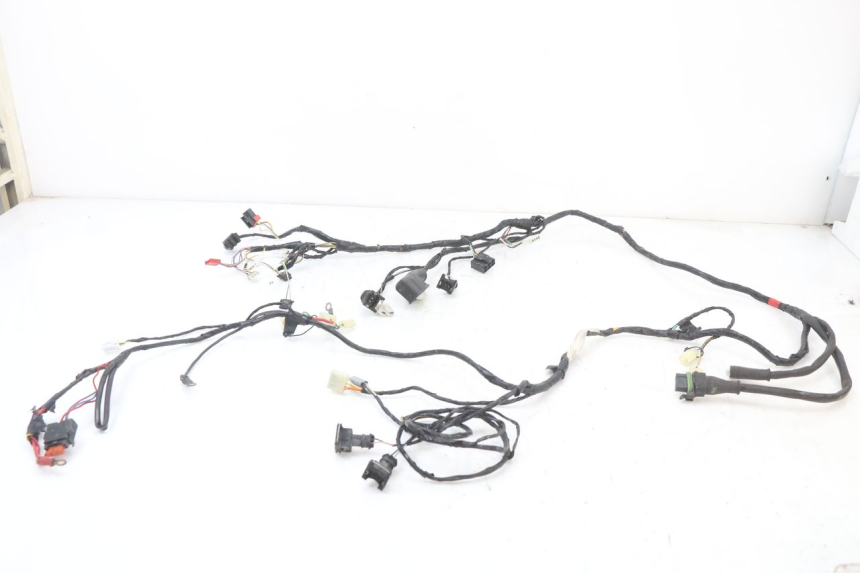 photo de WIRING HARNESS PIAGGIO VESPA S 2T 50 (2007 - 2014) - Main view