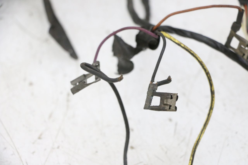 photo de WIRING HARNESS PIAGGIO VESPA S 2T 50 (2007 - 2014) - Technical close-up