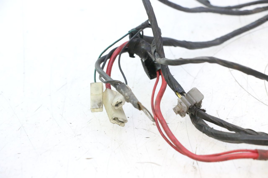 photo de WIRING HARNESS PIAGGIO VESPA S 2T 50 (2007 - 2014) - Component detail