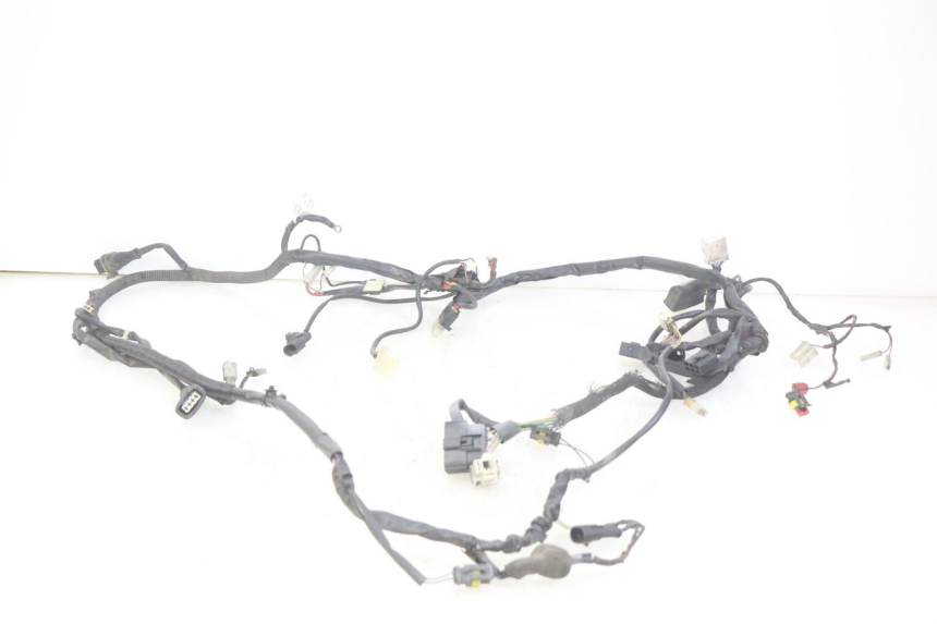 photo de WIRING HARNESS PIAGGIO VESPA SPRINT 2T 50 (2014 - 2018) - Main view