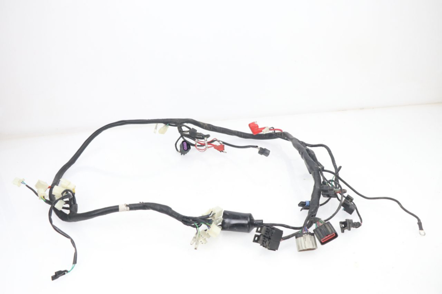 photo de WIRE HARNESS JM MOTORS VIPER 4T 50 (2015 - 2022) - Component detail