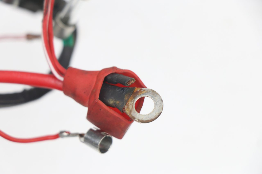 photo de WIRE HARNESS JM MOTORS VIPER 4T 50 (2015 - 2022) - Alternative perspective