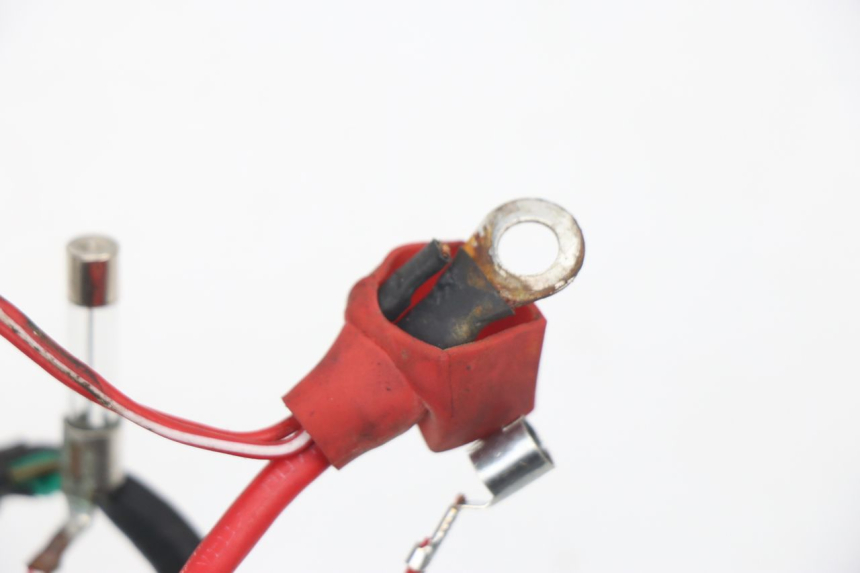 photo de WIRE HARNESS JM MOTORS VIPER 4T 50 (2015 - 2022) - Technical close-up