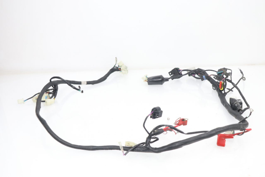 photo de WIRE HARNESS JM MOTORS VIPER 4T 50 (2015 - 2022) - Product overview