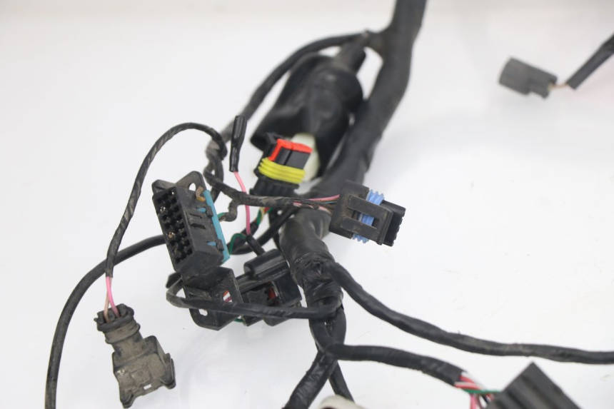 photo de WIRE HARNESS JM MOTORS VIPER 4T 50 (2015 - 2022) - Fixing points details