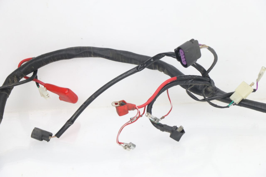 photo de WIRE HARNESS JM MOTORS VIPER 4T 50 (2015 - 2022) - Surface and material condition