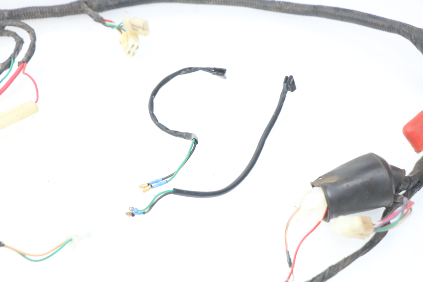 photo de WIRE HARNESS EUROCKA VIRTUALITY GT 4T 50 (2011 - 2017) - Alternative perspective