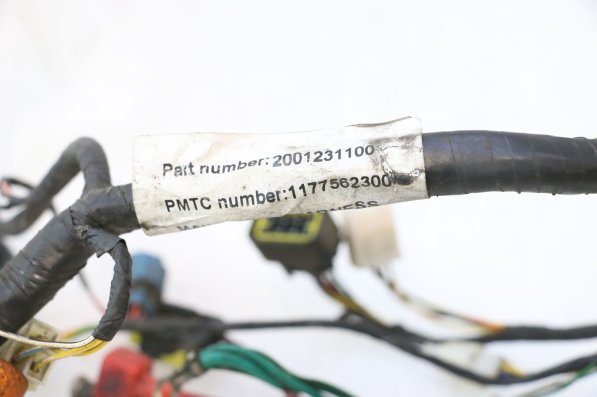 photo de WIRING HARNESS PEUGEOT VIVACITY NEW 2T 50 (2008 - 2017) - Component detail