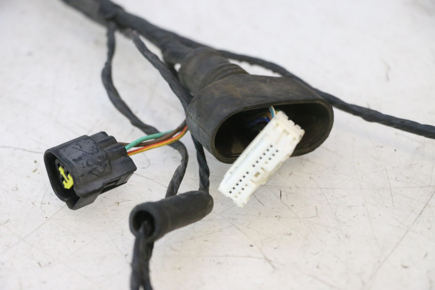 photo de WIRING HARNESS PEUGEOT VIVACITY NEW 2T 50 (2008 - 2017) - Fixing points details