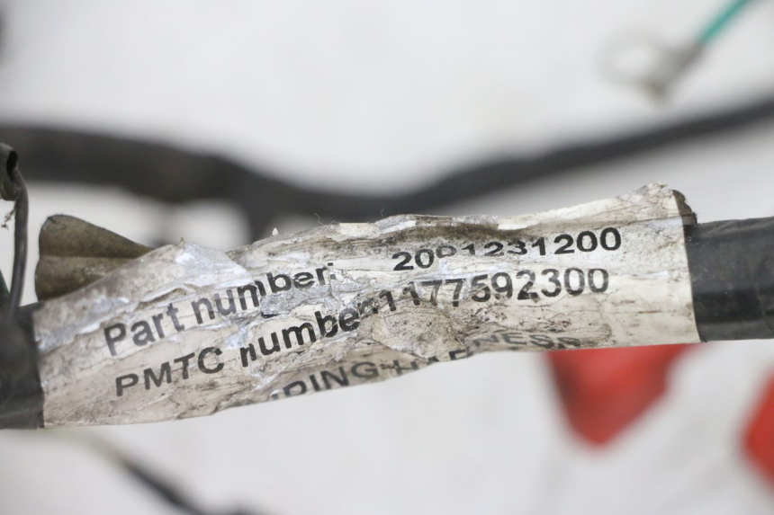 photo de WIRING HARNESS PEUGEOT VIVACITY NEW 4T 50 (2008 - 2017) - Component detail