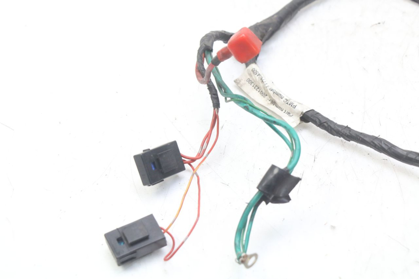 photo de WIRE HARNESS PEUGEOT VIVACITY 125 (2010 - 2017) - Fixing points details