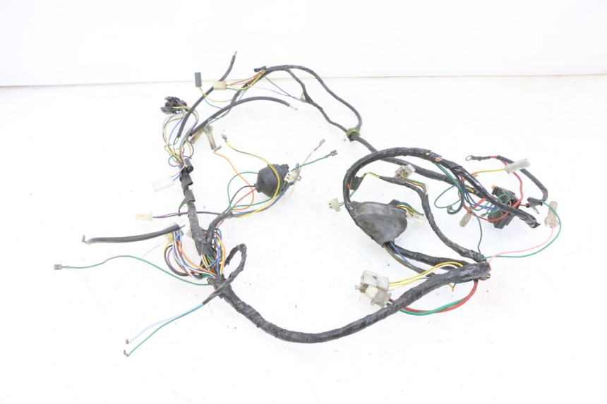 photo de WIRE HARNESS PEUGEOT VIVACITY 100 (1999 - 2008) - Component detail