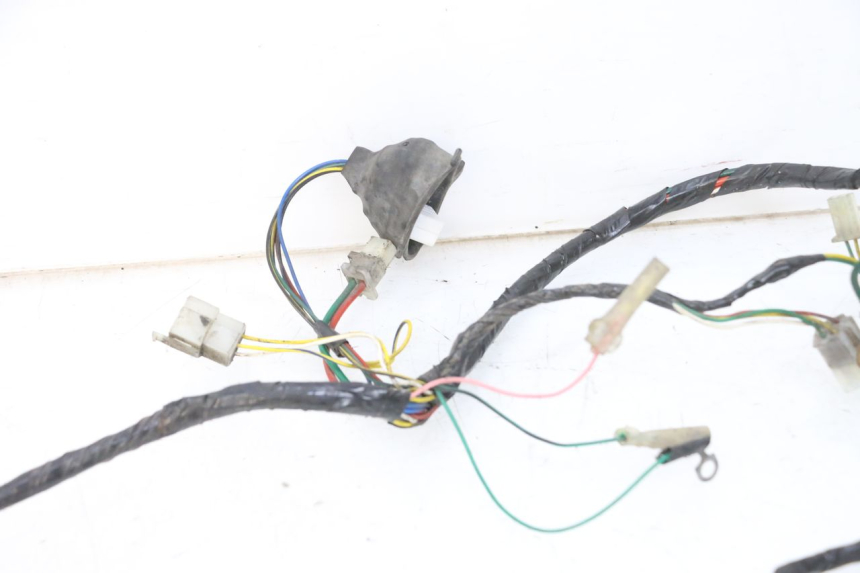 photo de WIRE HARNESS PEUGEOT VIVACITY 100 (1999 - 2008) - Distinctive features