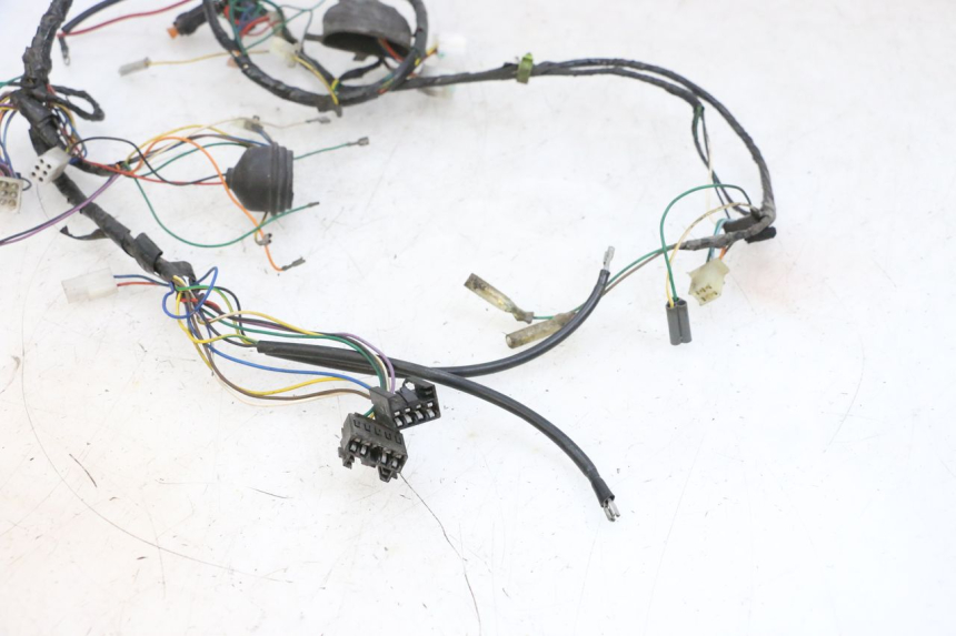 photo de WIRE HARNESS PEUGEOT VIVACITY 100 (1999 - 2008) - Alternative perspective