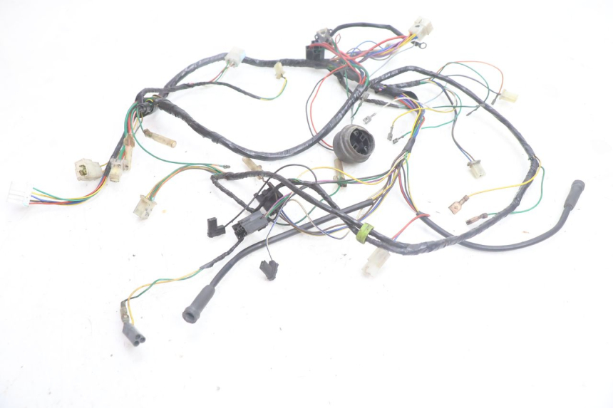 photo de WIRE HARNESS PEUGEOT VIVACITY 100 (1999 - 2008) - Main view