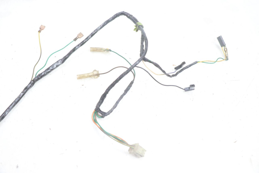 photo de WIRE HARNESS PEUGEOT VIVACITY 100 (1999 - 2008) - Component detail