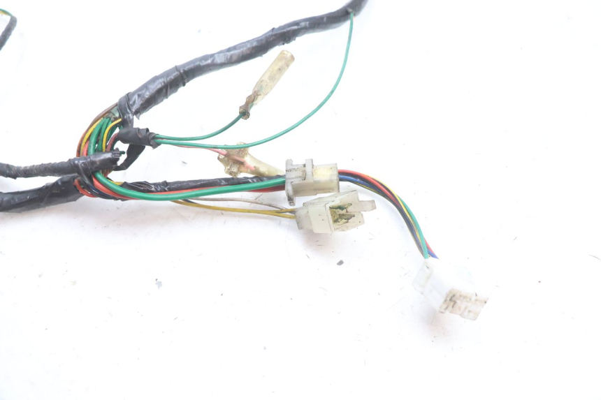 photo de WIRE HARNESS PEUGEOT VIVACITY 100 (1999 - 2008) - Alternative perspective