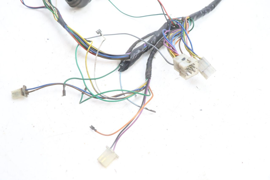photo de WIRE HARNESS PEUGEOT VIVACITY 100 (1999 - 2008) - Fixing points details