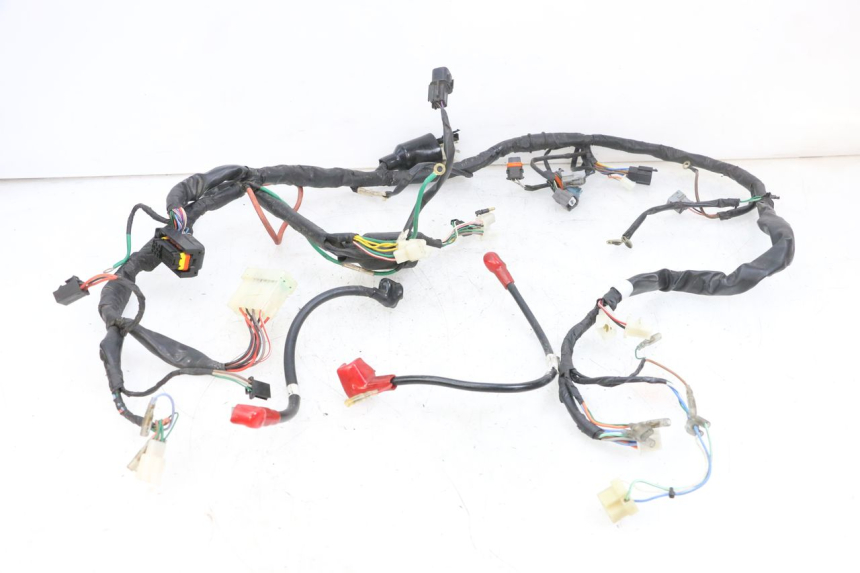 photo de WIRING HARNESS DAELIM VJ ROADWIN FI 125 (2008 - 2017) - Main view