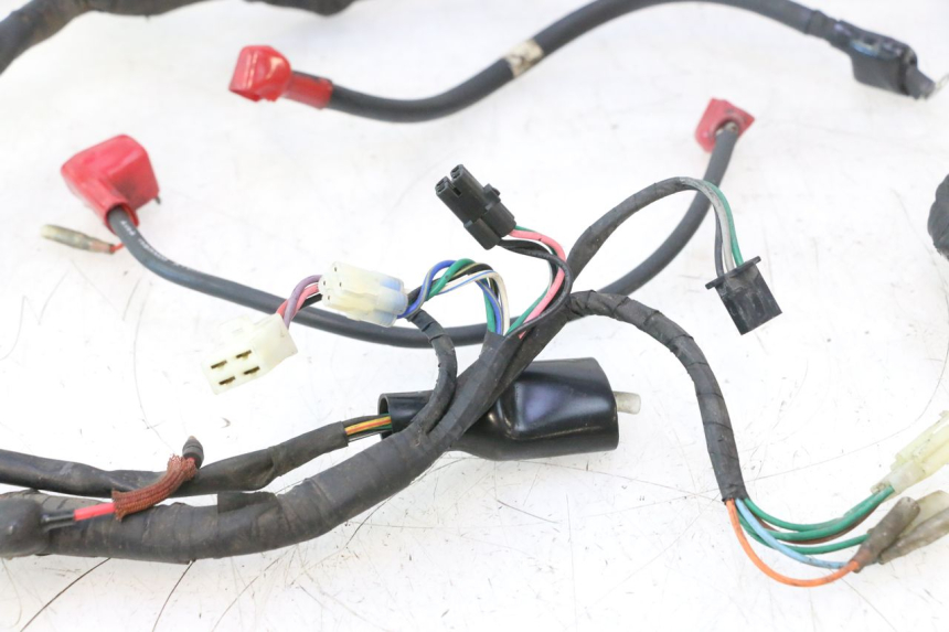 photo de WIRE HARNESS DAELIM VJ ROADWIN 125 (2004 - 2007) - Component detail