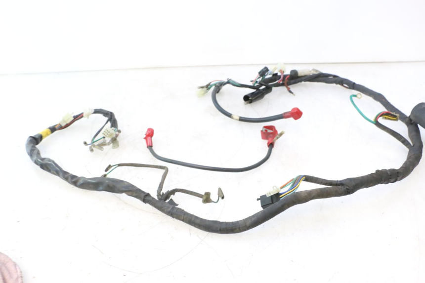 photo de WIRE HARNESS DAELIM VJ ROADWIN 125 (2004 - 2007) - Checked used part